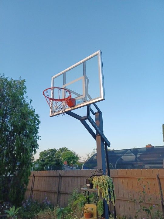 Basketball Hoop (in ground)