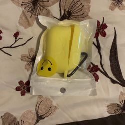 Air Pod Pro Case