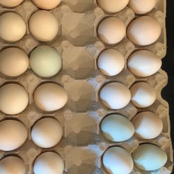 Fresh Eggs Organic 