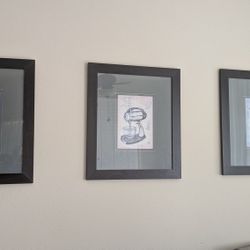 Picture Frames With Pictures. 