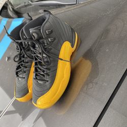 Jordan 12s