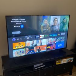 58” Insignia 4K Fire TV (Model NS-58F301NA22) – Great Condition!