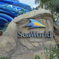 SEAWORLD TICKETS  3 FOR 90 OBO