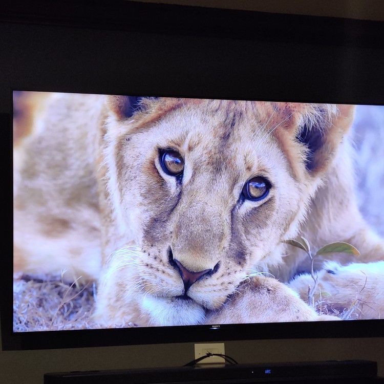 Sony XBR-65X900E 65" Full Array 4K HDR UHD LED SMART TV 120 hz


