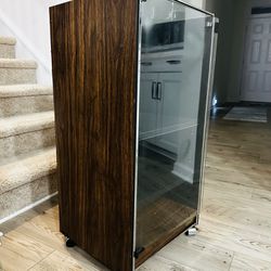 Console Stand w/glass Door