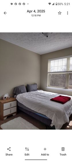 Bed