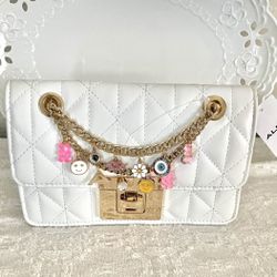 Aldo Radgal VHTF Crossbody 