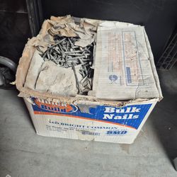 Nails 16D Bright Common