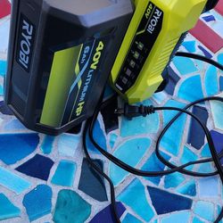 Ryobi Hp 40v 6.0 Baterie And Fast Charger 