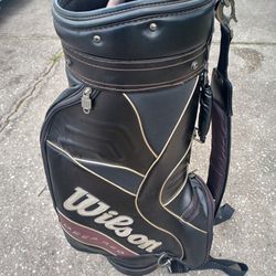 Wilson Golf Bag with Gloves and Balls - $40 FIRM 