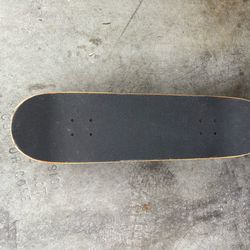 Santa cruz skateboard