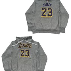 Nike Los Angeles Lakers Lebron James #23 Gray Hoodie Sweatshirt Mens Small New 