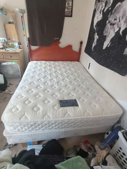 Just Bedrooms Gold Luxury Firm Mattress and Box Spring