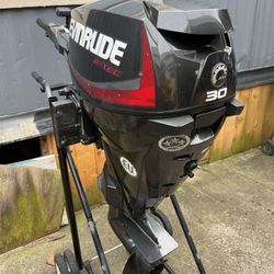 Evinrude Etec 30