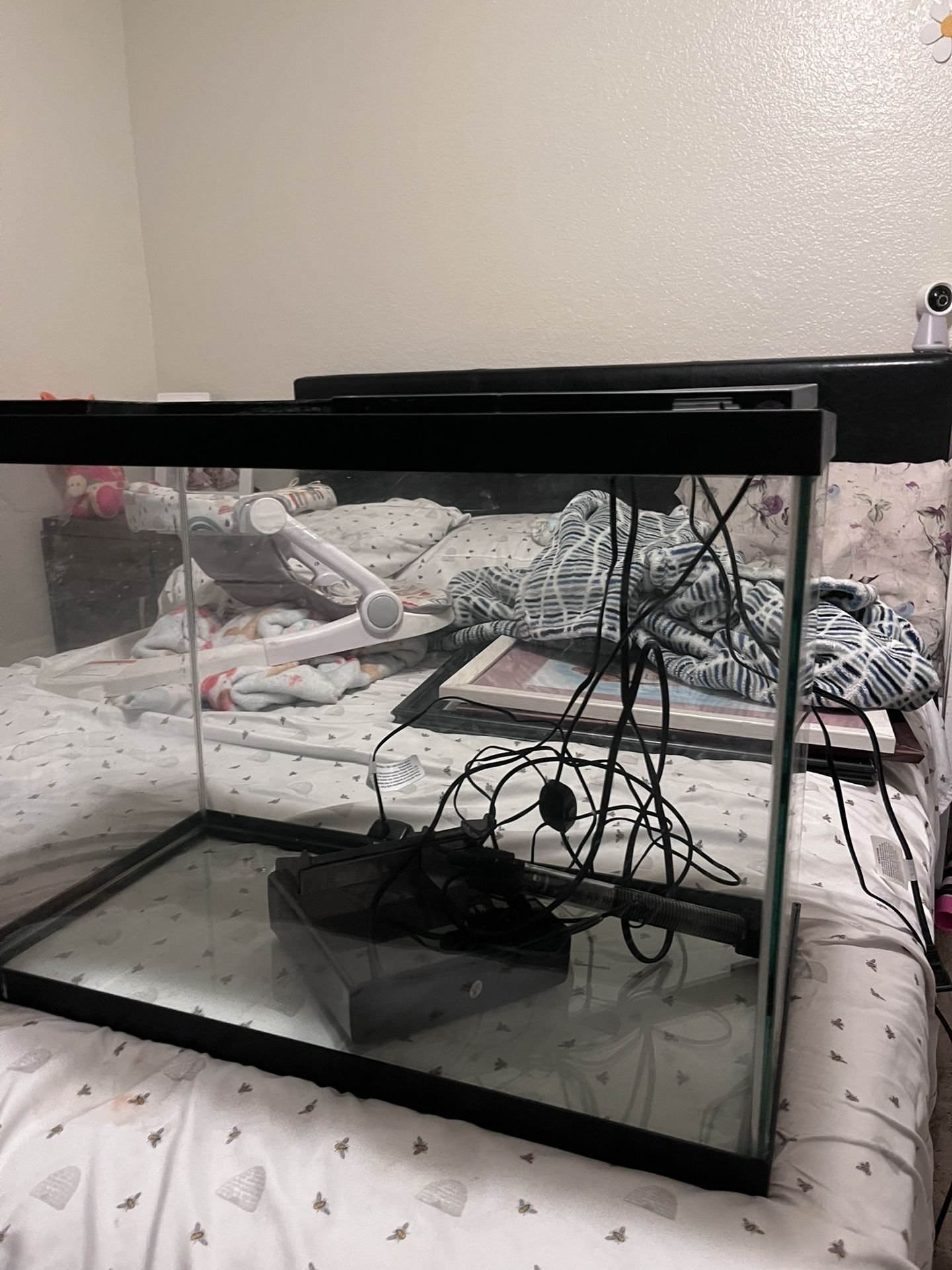 Big Fish Tank