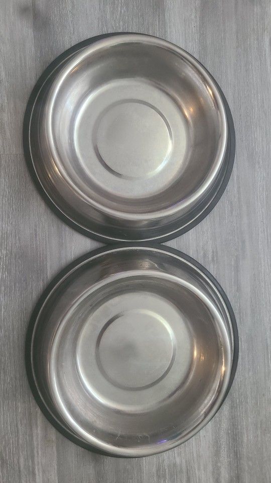 Two Big Dog Bowls