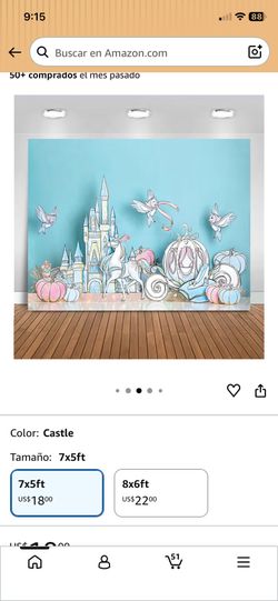 Disney cinderella backdrop