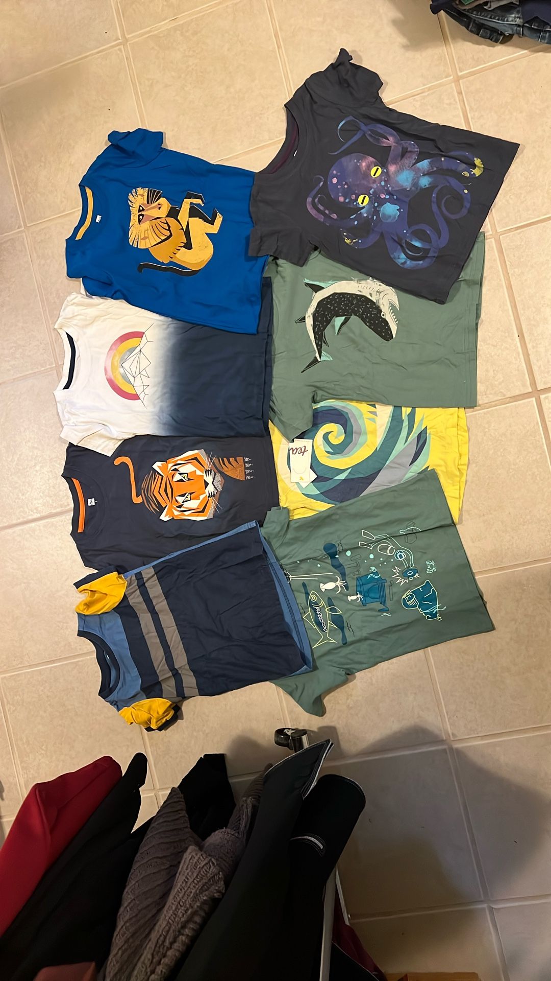 Tea Collection Boys Shirts Size 5 (8)