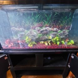 Fish Tank 65gallon Tank,Top,Stand