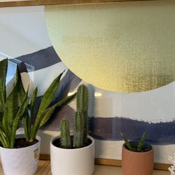 West Elm Wall Art