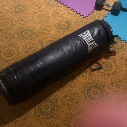 Everlast Punching Bag