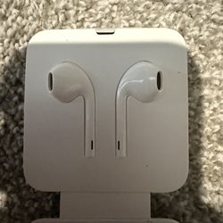 Apple earphones