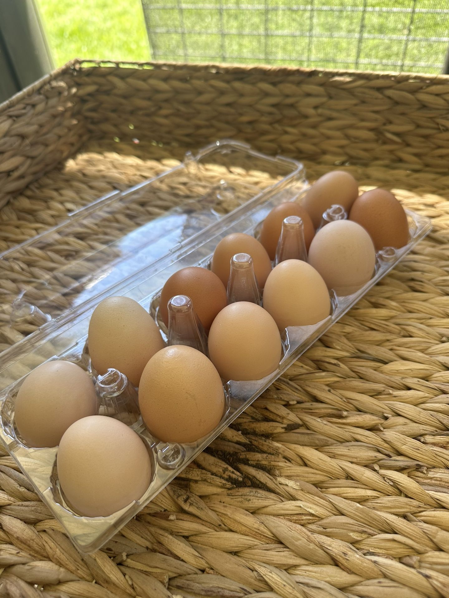 Fresh Eggs $7