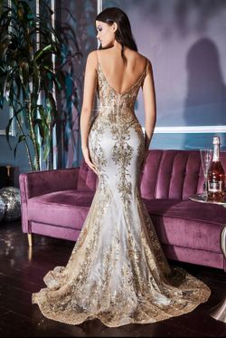 Prom/Homecoming/Evening Dress