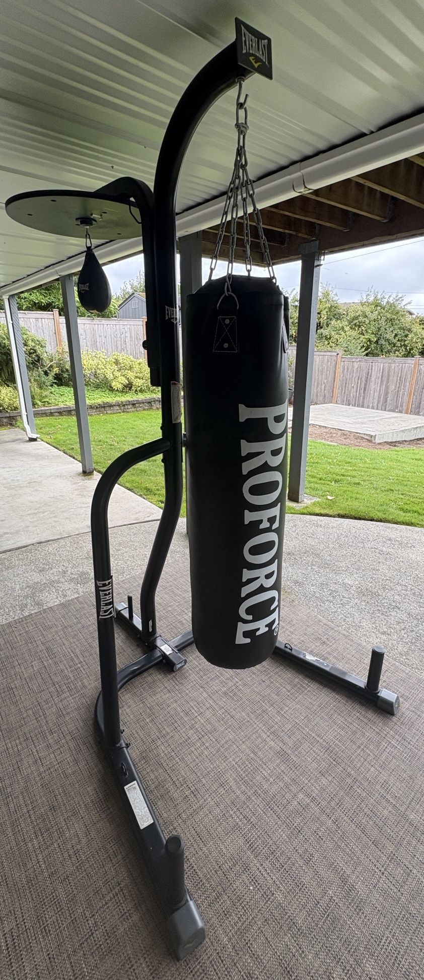 Everlast Dual Bag Station Stand w/Proforce 100 lb Heavy Bag