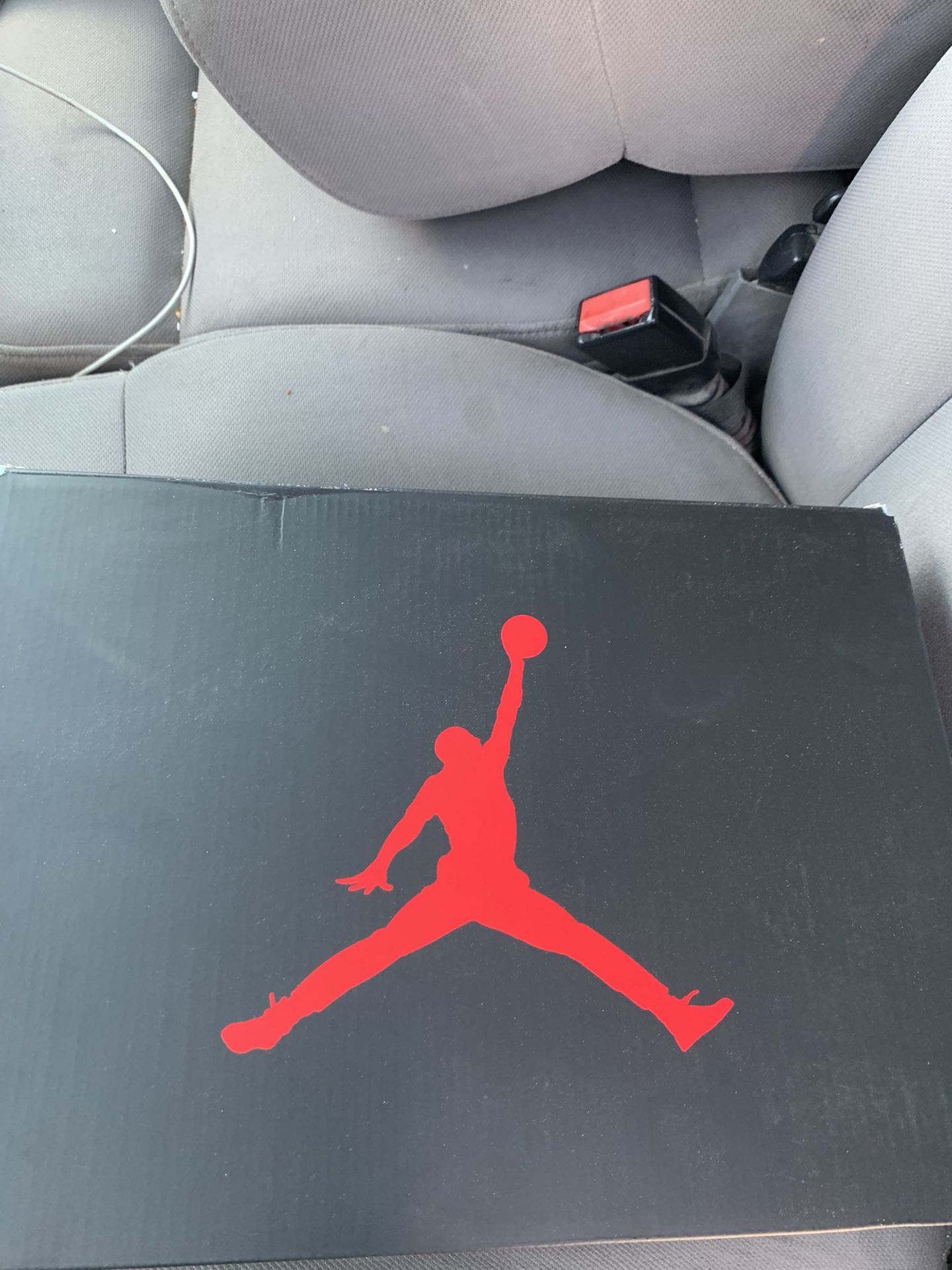 Jordan 6s
