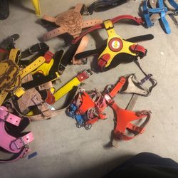 Dog Leather Harness / Each