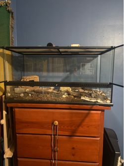 Glass Reptile Tank with Screen Lid