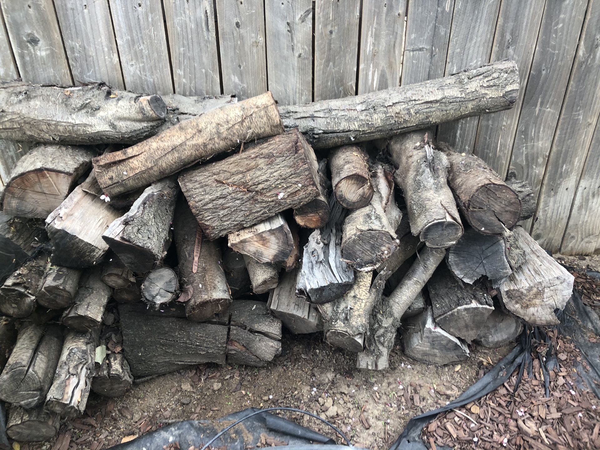 Almond firewood for Sale in Fresno, CA OfferUp