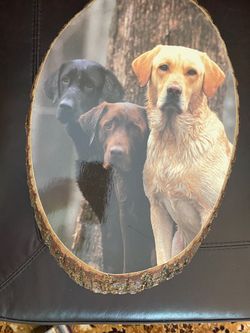 3 labs dog photo on real tree stump — excellent Condition!