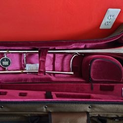 BEAUTIFUL, Pro-Tec Tenor Trombone Contoured Pro Pac Case Pro-Tec - Chocolate .... CHECK OUT MY PAGE FOR MORE ITEMS