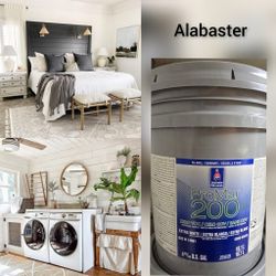 New 5 gallon interior paint 