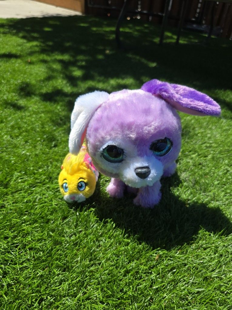 Stuffed Animals