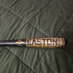 Baseball Bat, Bate,  Easton Bat Old Bat