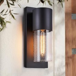   Outdoor/Indoor Wall Sconce