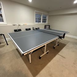 Ping Pong Table