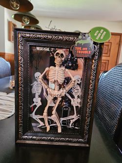 Viral TikTok Dancing Skeleton Light Up Shadow Box - Halloween Decor NWT