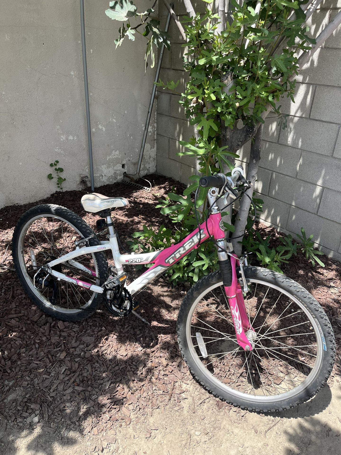 Trek MT220 Kids Mountain Bike