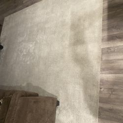 Living Room Center Rug