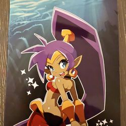 Shantae And The Seven Sirens PS4 Steelbook 