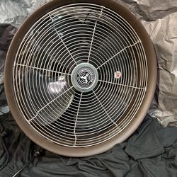 Fan