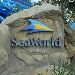Sea World Ticket