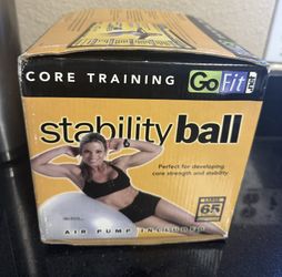 GoFit Professional Grade Stability Ball Fitness Gym