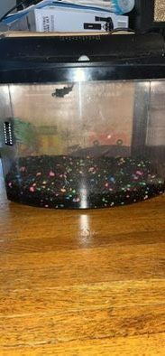 2.5 Gallon Aquarium