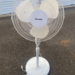 PELONIS Stand Fan 