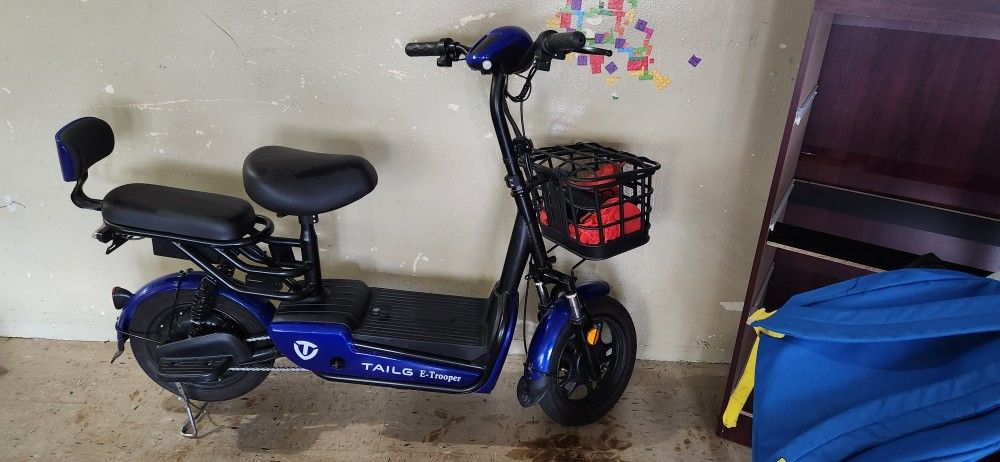 Electric  Bike